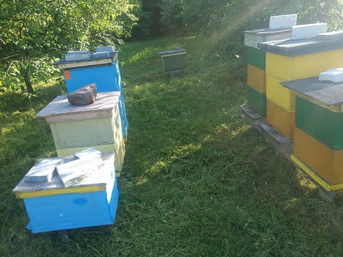 Zakładam nowe rodziny